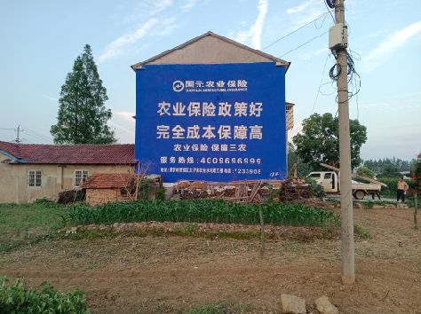 武胜墙体广告为何受追捧？